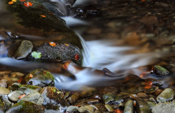 Cascada Otoño Pintoresco Arroyo Las Montañas Cárpatos —  Fotos de Stock