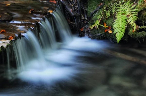 Cascada Otoño Pintoresco Arroyo Las Montañas Cárpatos —  Fotos de Stock