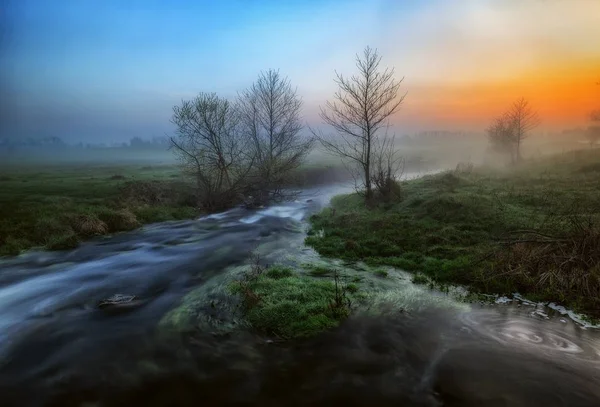 Vårmorgon Pittoreska Stream Dimmigt Dawn — Stockfoto