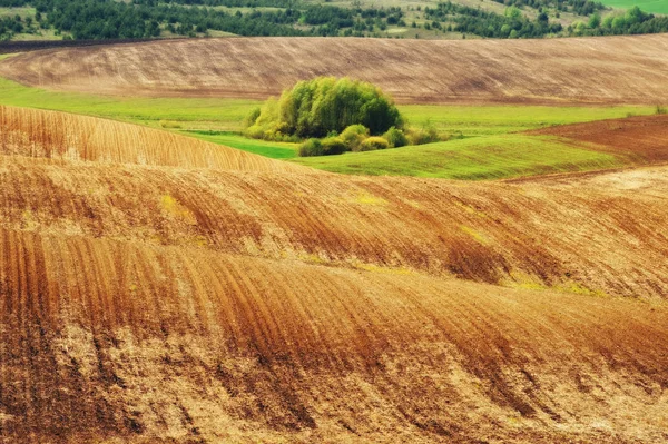 Kopcovité Oblasti Malebné Kopcovité Čára — Stock fotografie