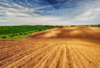 tepelik alan. pitoresk tepelik hattı