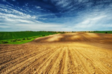 tepelik alan. pitoresk tepelik hattı