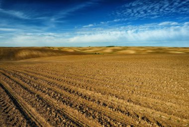 tepelik alan. pitoresk tepelik hattı