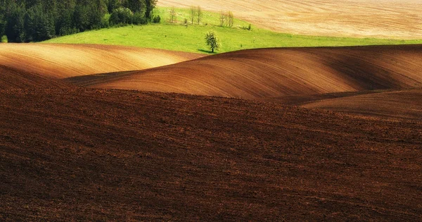 Campo Montanhoso Pitoresca Linha Montanhosa — Fotografia de Stock