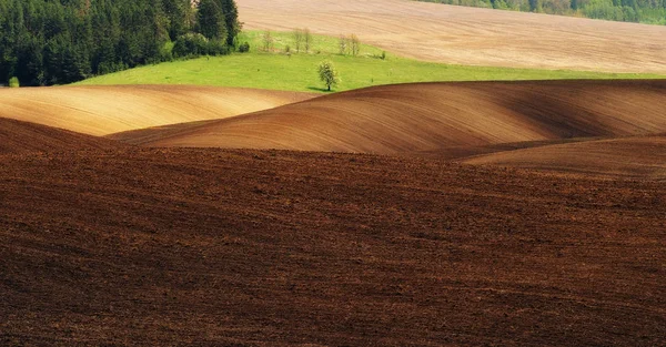 Campo Montanhoso Pitoresca Linha Montanhosa — Fotografia de Stock