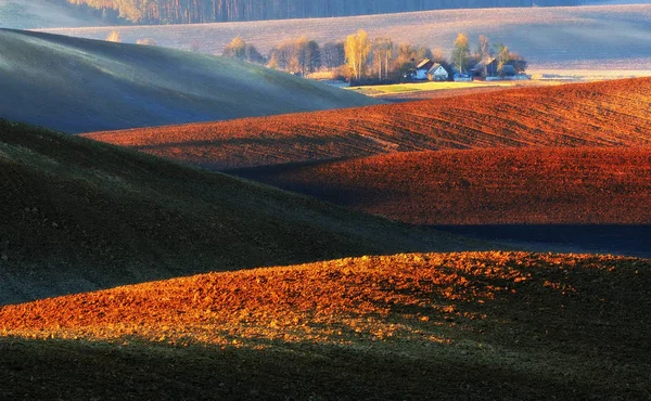 Hilly Field Picturesque Hilly Line — Stock Photo, Image