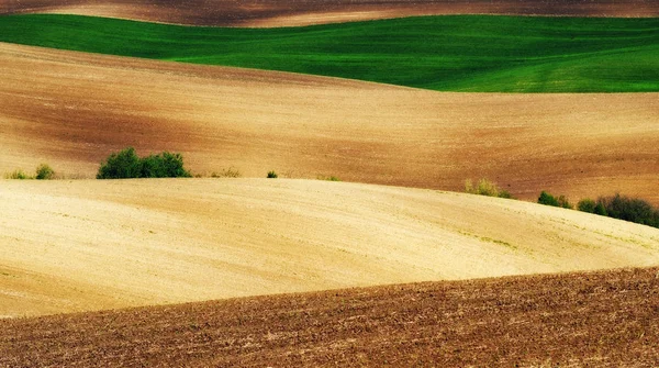 Kopcovité Oblasti Malebné Kopcovité Čára — Stock fotografie