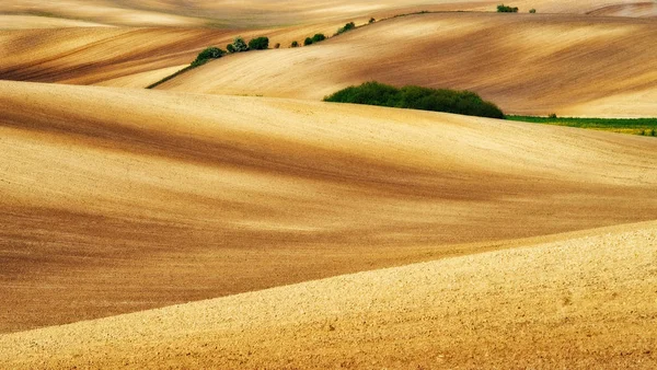 Campo Montanhoso Pitoresca Linha Montanhosa — Fotografia de Stock