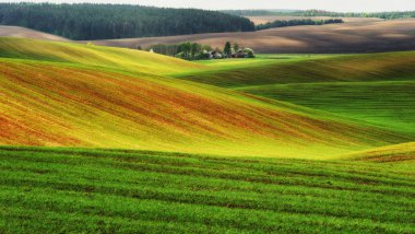 tepelik alan. bahar sabahı. güzel gün doğumu alanında