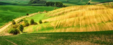 tepelik alan. bahar sabahı. güzel gün doğumu alanında