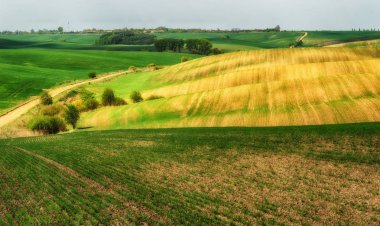 tepelik alan. bahar sabahı. güzel gün doğumu alanında