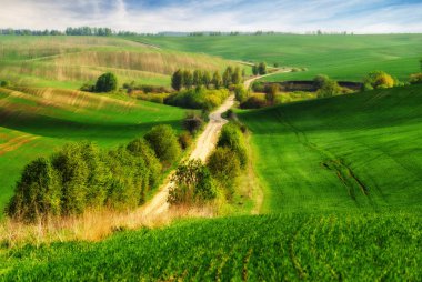 tepelik alan. bahar sabahı. güzel gün doğumu alanında