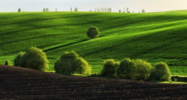 tepelik alan. bahar sabahı. güzel gün doğumu alanında