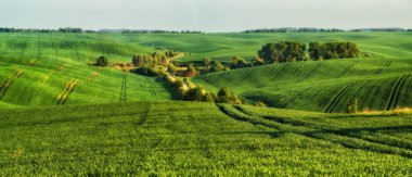 tepelik alan. bahar sabahı. güzel gün doğumu alanında
