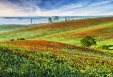 tepelik alan. bahar sabahı. güzel gün doğumu alanında