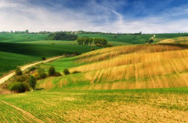 tepelik alan. bahar sabahı. güzel gün doğumu alanında