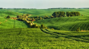 tepelik alan. bahar sabahı. güzel gün doğumu alanında