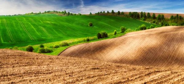 Hügelland Frühlingsmorgen Ein Schöner Sonnenaufgang Auf Dem Feld — Stockfoto