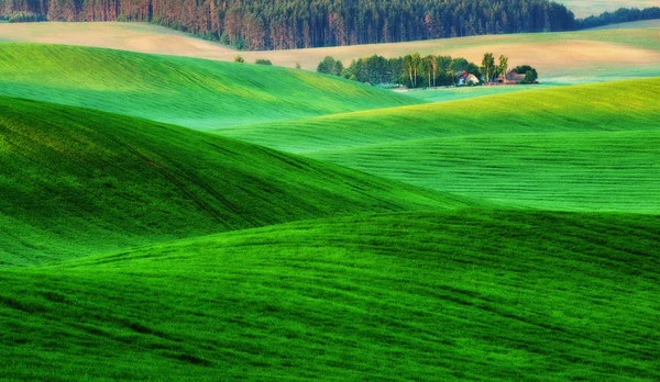 Hügelland Frühlingsmorgen Ein Schöner Sonnenaufgang Auf Dem Feld — Stockfoto