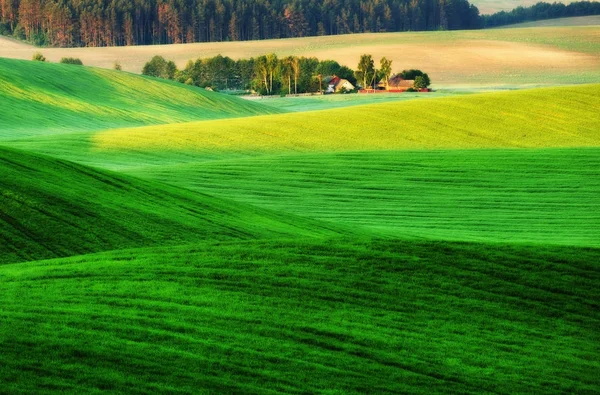 Hügelland Frühlingsmorgen Ein Schöner Sonnenaufgang Auf Dem Feld — Stockfoto