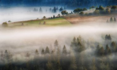 sisli sabah. Karpat Dağları'nda güzel bir sonbahar şafak