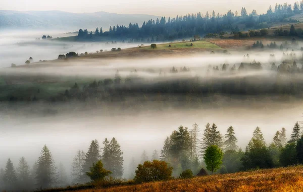 Mistige Ochtend Een Pittoreske Herfst Dageraad Karpaten — Stockfoto