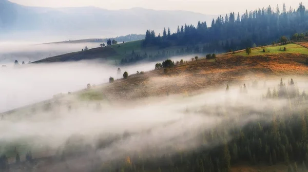 大雾的早晨 喀尔巴阡山上风景如画的秋日黎明 — 图库照片