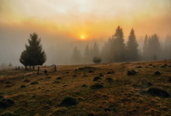 Nebliger Morgen Eine Malerische Herbstdämmerung Den Karpaten — Stockfoto