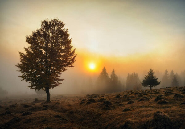 foggy morning. a picturesque autumn dawn in the Carpathian Mountains