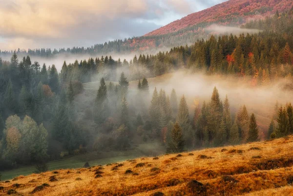 Foggy Morning Picturesque Autumn Dawn Carpathian Mountains — Stock Photo, Image