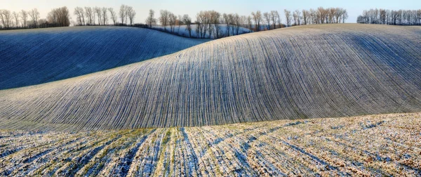 Téli Mező Festői Téli Reggelen Egy Dombos Területen — Stock Fotó