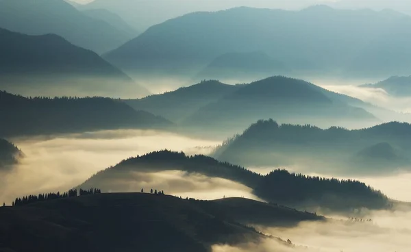 Silhouettes Mountains Autumn Morning Carpathian Mountains Foggy Dawn — Stock Photo, Image