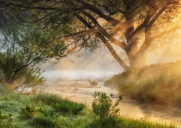 Vårmorgon Pittoresk Dimmigt Dawn Solens Strålar — Stockfoto