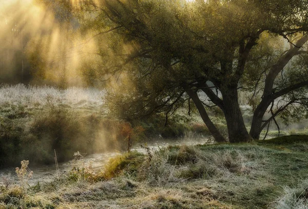 Весеннее Утро Живописный Туманный Рассвет Солнечные Лучи — стоковое фото