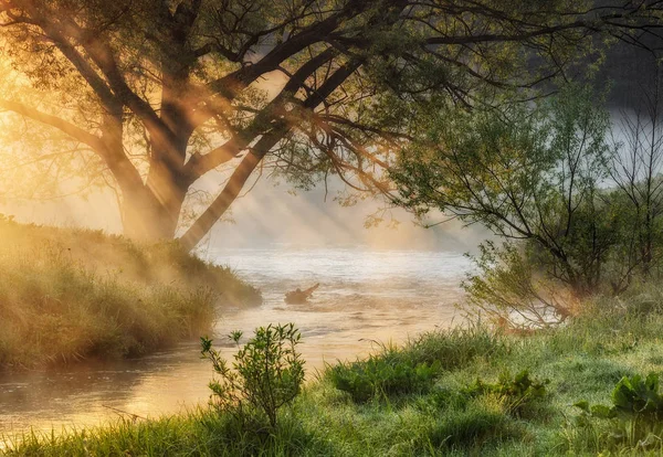 Vårmorgon Pittoresk Dimmigt Dawn Solens Strålar — Stockfoto