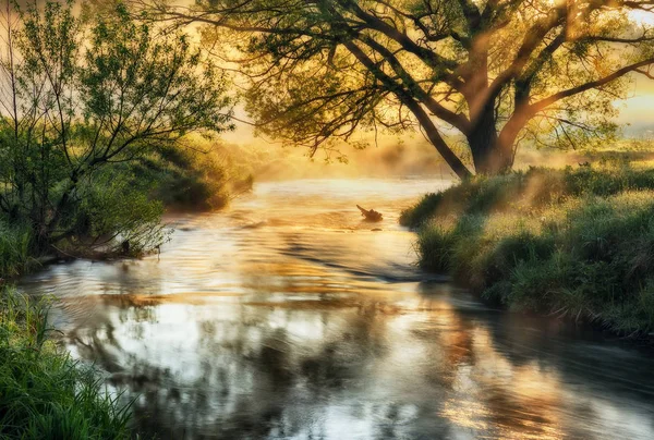 Vårmorgon Pittoresk Dimmigt Dawn Solens Strålar — Stockfoto