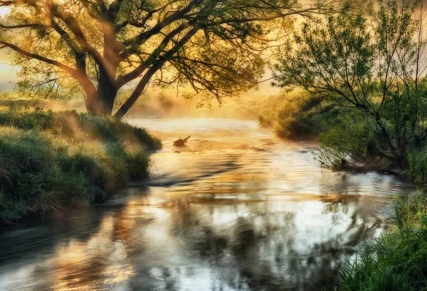 Frühlingsmorgen Eine Malerische Neblige Dämmerung Sonnenstrahlen — Stockfoto