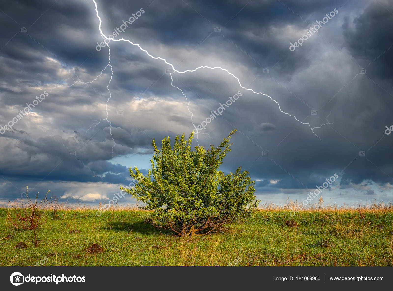 Thunder Sky Lightning Sky Dark Clouds Stock Photo Image By C Serg Nester