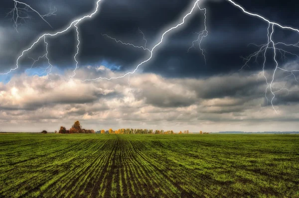 Thunder Sky. lightning in the sky. dark clouds