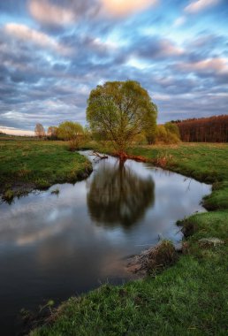 bahar sabahı. Şafak pitoresk bir Nehri yakınında