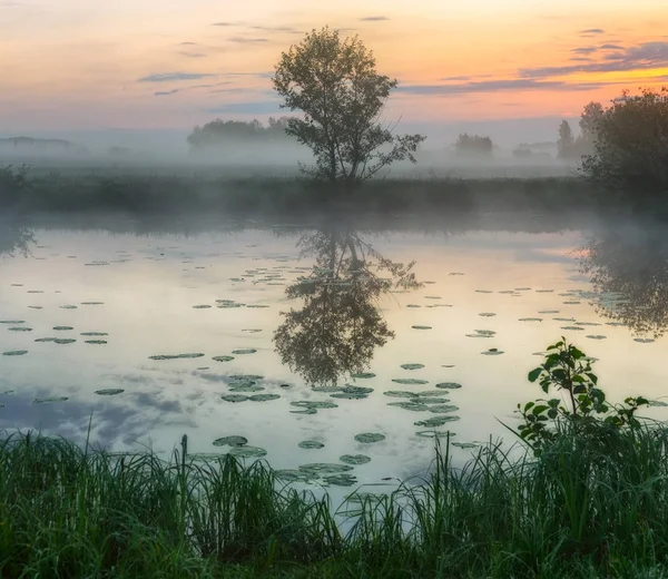 Vårmorgon Dawn Nära Pittoreska Floden — Stockfoto