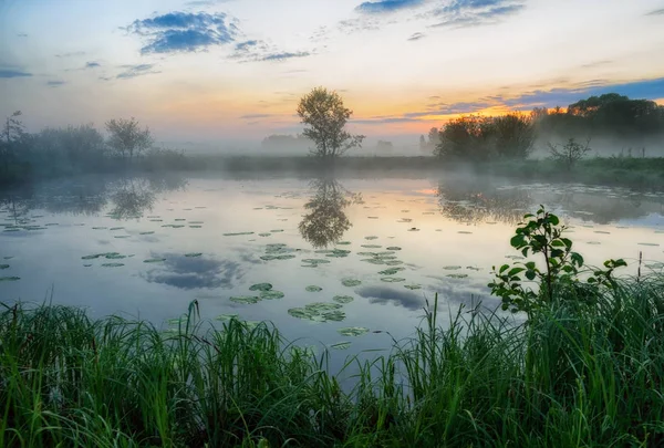 Vårmorgon Dawn Nära Pittoreska Floden — Stockfoto