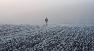 Kış alan. güzel kış sabahı. adam alanında