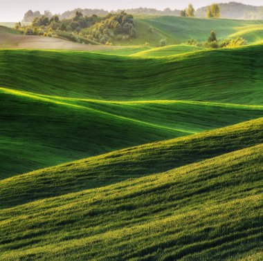 Bahar alan. pitoresk tepelik alan. Bahar tarım alanı