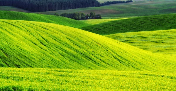 Fjærmark Billedlig Kupert Åker Landbruksmark Våren – stockfoto