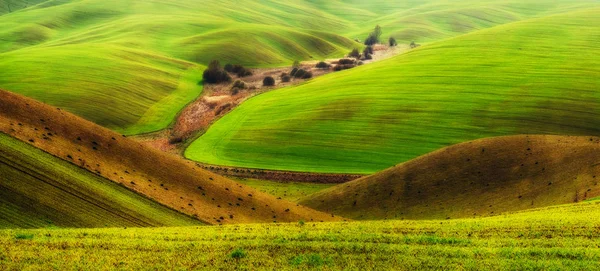 Campo Primaverile Pittoresco Campo Collinare Campo Agricolo Primavera — Foto Stock