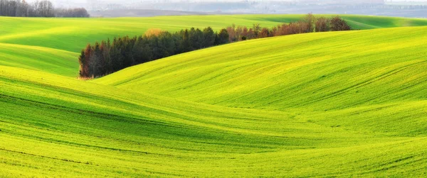 春天的田野 风景如画的丘陵领域 春季农业领域 — 图库照片