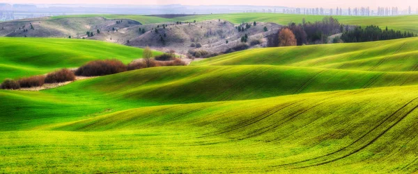 Frühlingsfeld Malerische Hügellandschaft Ackerland Frühjahr — Stockfoto