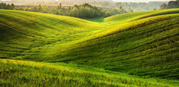 Frühlingsfeld Malerische Hügellandschaft Ackerland Frühjahr — Stockfoto