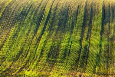 Bahar alan. pitoresk tepelik alan. Bahar tarım alanı